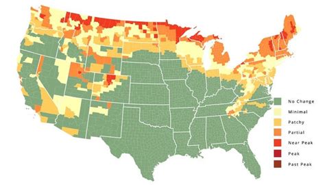 Michigan fall color map 2023: Week-by-week autumn leave predictions