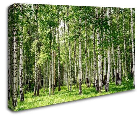 Birch Tree Forest Wall Art Canvas 8998-1012 - Stickers Wall