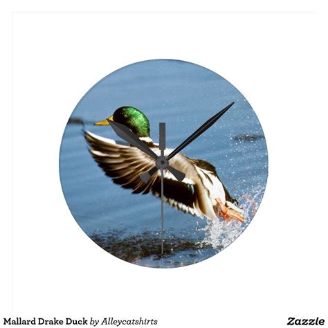Mallard Drake Duck Round Clock | Clock, Wall clock, Mallard