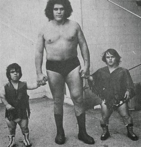 Andre The Giant Vs Giant Gonzalez