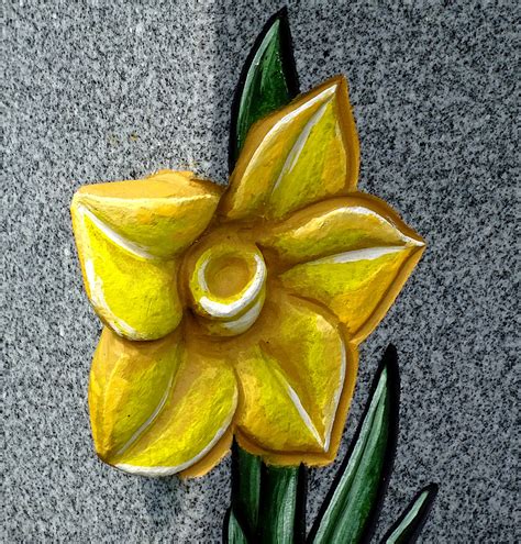 Daffodil Engraved On Stone Free Stock Photo - Public Domain Pictures