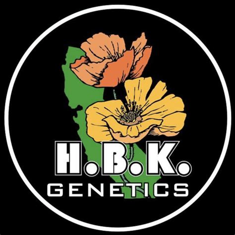 HBK Genetics - Dagga Garden