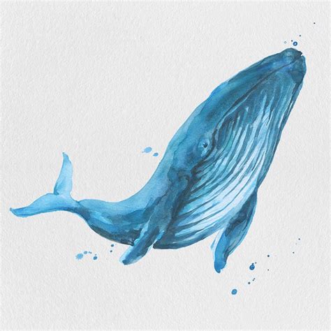 Free Blue Whale Watercolor Clipart PNG | Gogivo