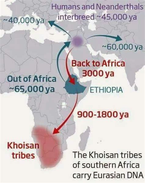 Pin by Борис Тодоров on Haplogruppen | History, Human migration, African history