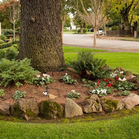 10 Clever Tips for Landscaping Around Trees | Landscaping around trees ...