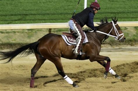 Kentucky Derby contender Wild On Ice fatally injured in training - UPI.com