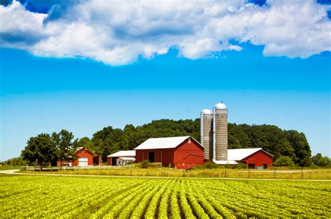 Farms for Sale: Where to Start When Looking for a Farm