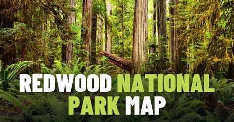 Redwood National Park Map (PDF) • PhotoTraces