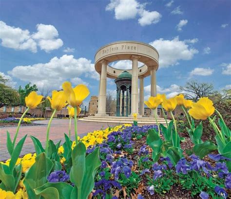 University of Tulsa - Profile, Rankings and Data | US News Best Colleges