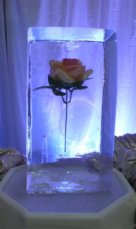 Peach rose | Ice sculptures, Peach roses, Snow and ice