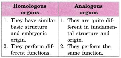 New Differentiate Between Homologous And Analogous Organs With Example | The Best Porn Website