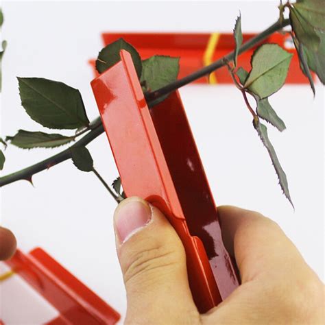 Leaf Thorn Removal Clip – JOOPZY
