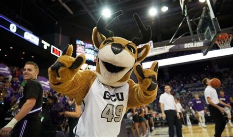 Thunder - National Mascot Championships - GCU Giving Day