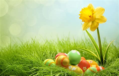 🔥 [50+] Easter Flowers Wallpapers | WallpaperSafari