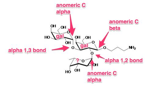 Alpha Vs Beta Linkage