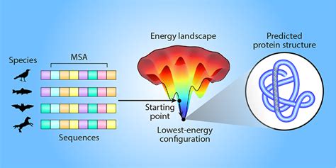 Physics - Machine-Learning Model Reveals Protein-Folding Physics