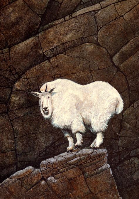 Mountain Goat Painting by Frank Wilson