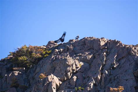 El Chalten hiking – early morning joys on the Fitz Roy Trek