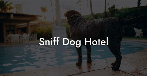 Sniff Dog Hotel - Dog Hotels