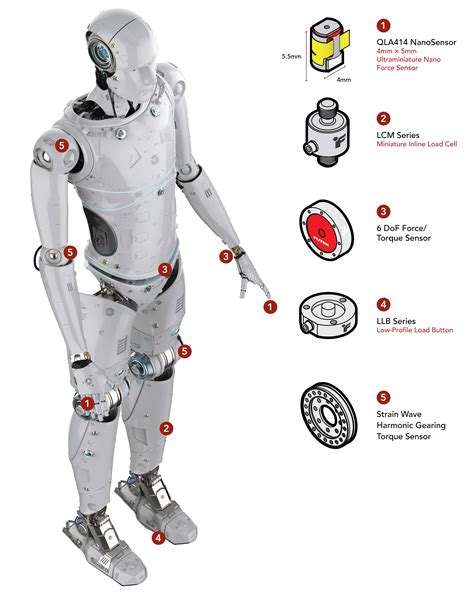 Humanoid Robot Sensors | FUTEK