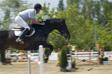 Show Jumper stock photo. Image of equestrian, gallop, compete - 2526316