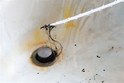 How To Get Hair Out Of Sink Drain - All Coast Inspections