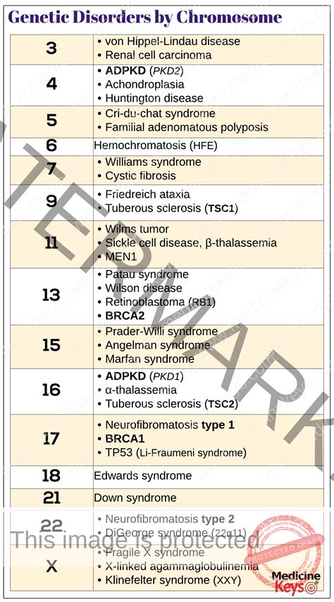 Chromosome 16 Disorders And Health - vrogue.co