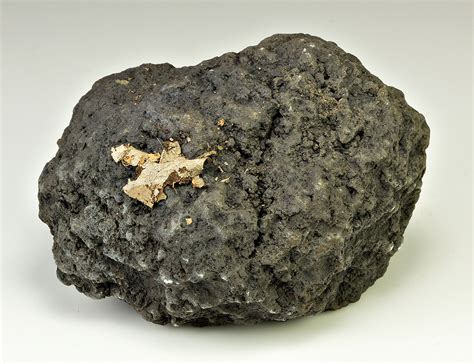 Manganese Nodule - Minerals For Sale - #1252221