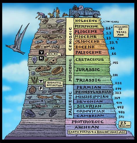 This Geologic Time Scale shows how life has evolved and changed over ...