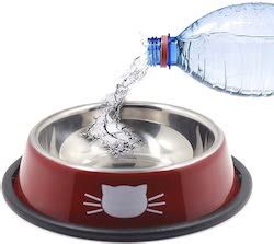 The 7 Best Cat Water Bowls That Won't Tip Over in 2020