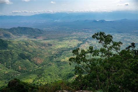 Usambara Mountains - Ultimate Hiking Guide | Discover Discomfort