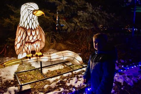 Zoo Lights at Hogle Zoo - Utah's Adventure Family