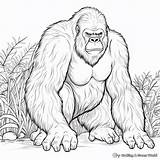 Ape Coloring Pages  Free & Printable sketch template