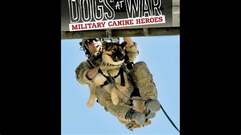 Dogs at War: Military Canine Heroes - YouTube