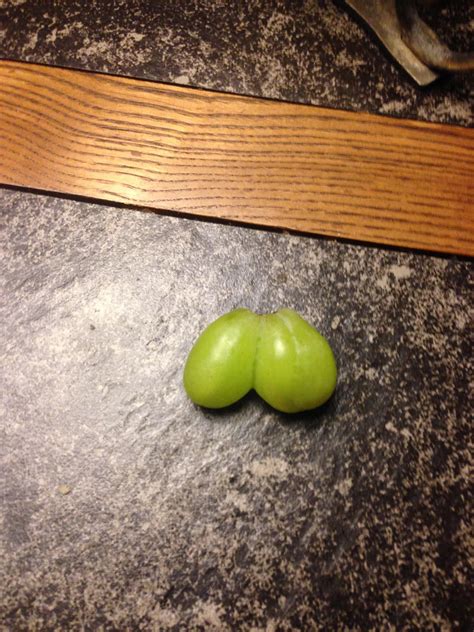 “Grape Nuts” : r/shittyfoodporn