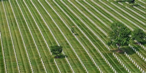 Arlington National Cemetery continues improvements, director testifies ...