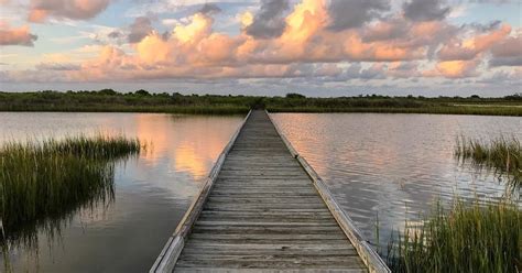 Guide to Galveston Island State Park | Visit Galveston