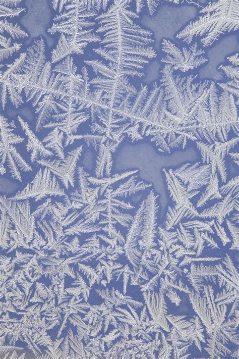 Frost on a Window - Stock Image - C003/7985 - Science Photo Library