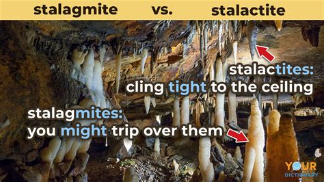 Stalagmite vs. Stalactite: Key Differences in Formations | YourDictionary