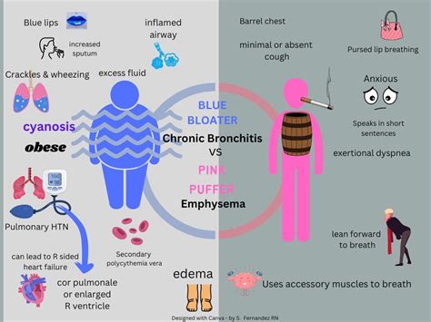 Blue bloater vs Pink Puffer | Respiratory therapy student, Respiratory ...