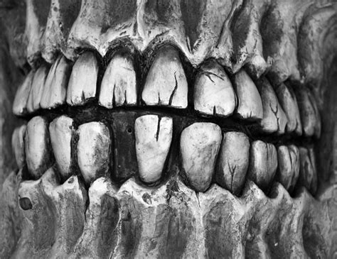 Skeleton Skull Teeth Free Stock Photo - Public Domain Pictures