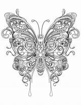 Butterfly Coloring Pages For Adults  Best Kids sketch template