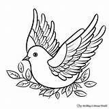 Peace Dove Coloring Pages  Free & Printable sketch template