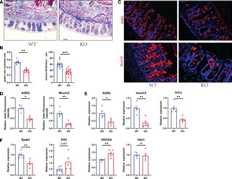 Frontiers | Reprogrammed fecal and mucosa-associated intestinal ...