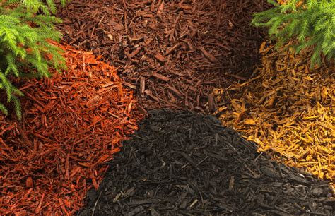 Mulch - To Dye or Not to Dye | Complete Landscaping Service MD, DC, VA