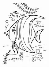 24 Free Printable Angelfish Coloring Pages sketch template