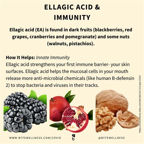 COVID-19: Immune-Boosting Ellagic Acid from Dr. Jifunza Wright — Byte ...