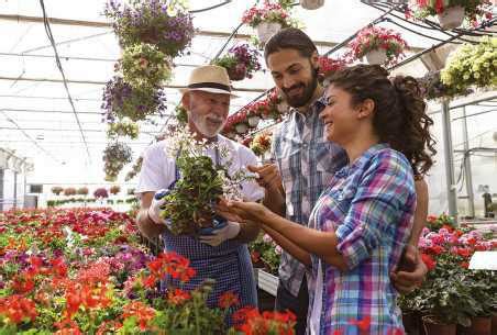 Benefits of planting native species in your yard | Perrysburg Messenger ...