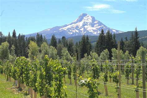 Best 11 Things to Do in the Hood River Fruit Loop — Pines and Vines ...