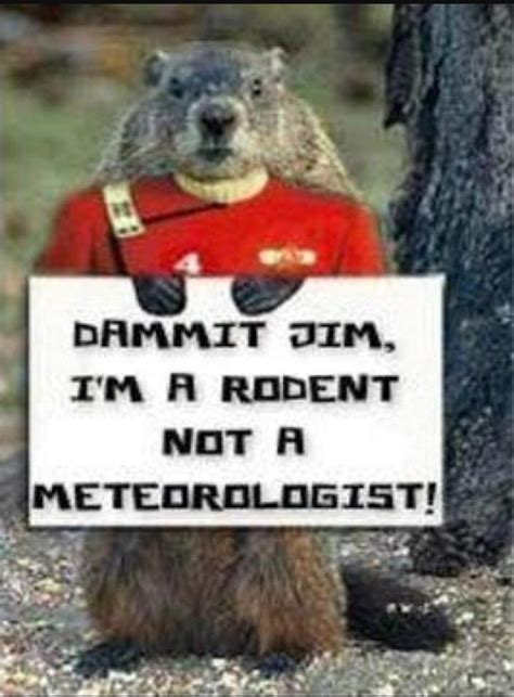 😄😅🤣😂 | Star trek funny, Groundhog day, Happy groundhog day